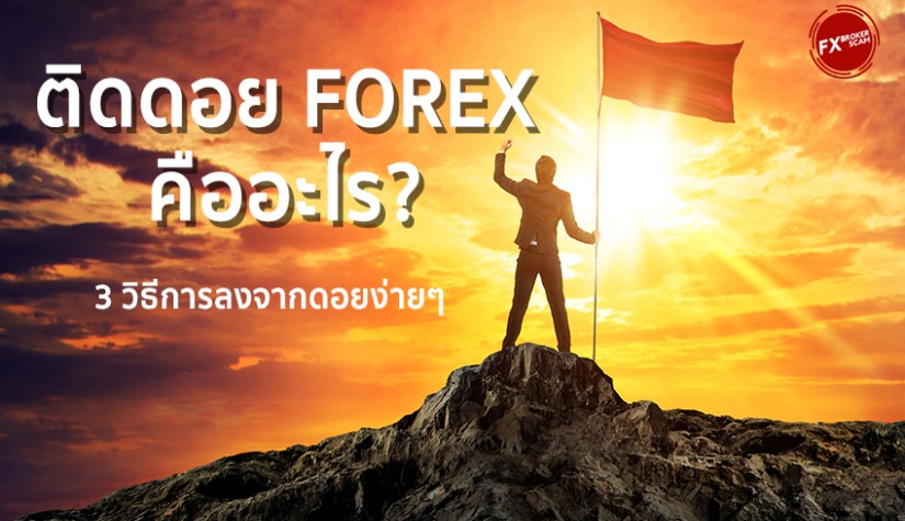 ติดยอดดอย คืออะไร เรียนรู้ศัพท์แสลงในตลาด Forex