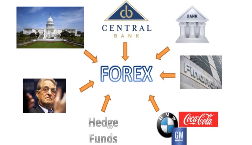 ใครคือเจ้าในตลาด Forex ? แล้วผู้เล่นในตลาดมีใครบ้าง ?