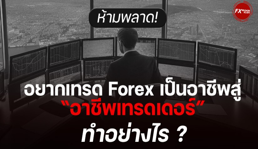 ห้ามพลาด! อยากเทรด Forex เป็นอาชีพสู่ “อาชีพเทรดเดอร์” ทำอย่างไร ?