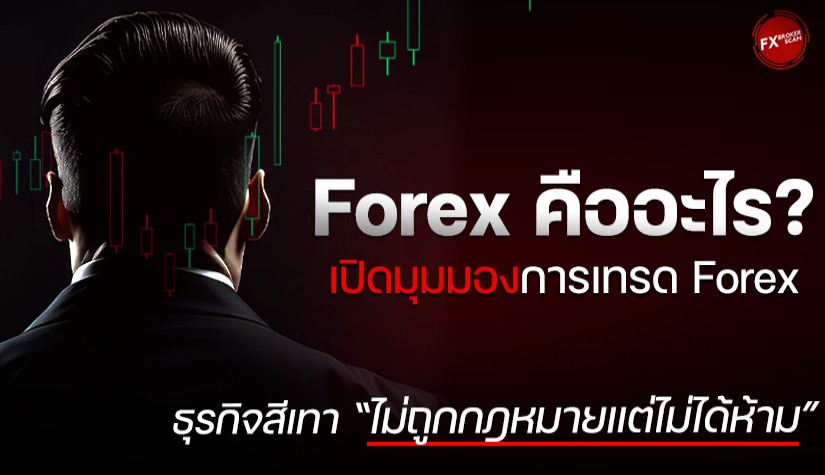 Forex คืออะไร? เปิดมุมมองเทรด Forex ธุรกิจสีเทาในไทย “ไม่ถูกกฎหมายแต่ไม่ได้ห้าม”